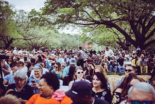 crowd sitting on a lawn
